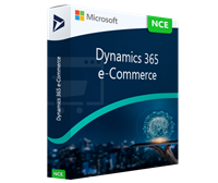 Dynamics 365 e-Commerce (Tier 3)
